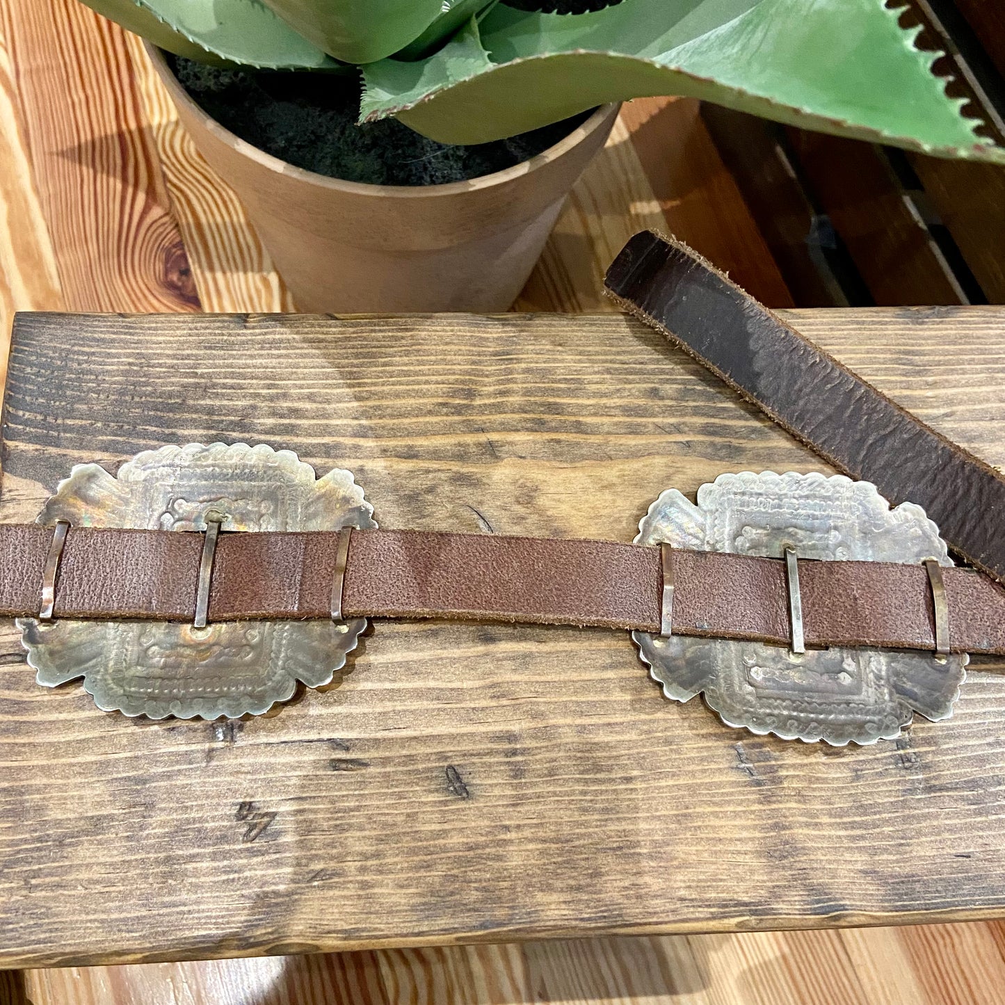brown and brass womens concho belt at 6Whiskey six whisky 