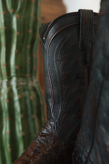 The Wyatt in Black Cherry