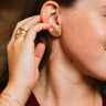 Texas A&M Aggies Aggie Stud Gold plated earrings 6 Whiskey six whisky logo