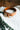 Lauren Brown Leather Belt at 6Whiskey six whisky gold hardware trendy simple classic style