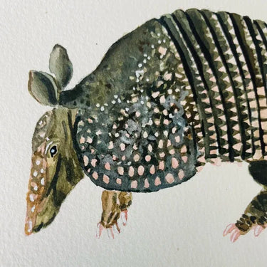 Armadillo Art Print by Catherine Cartie at 6Whiskey, six whisky, red background, classic, artful, southwest, texas, heritage, rugged, refined, home decor, artwork, watercolour, painting, hand painted, detail view