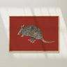 Armadillo Art Print by Catherine Cartie at 6Whiskey, six whisky, red background, classic, artful, southwest, texas, heritage, rugged, refined, home decor, artwork, watercolour, painting, hand painted, front view