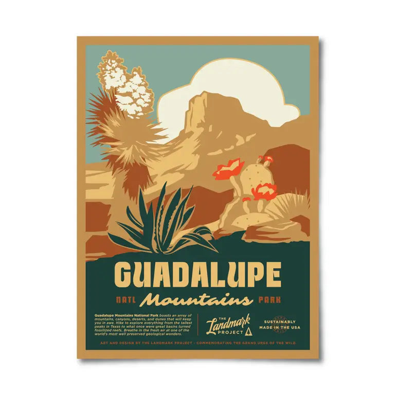 Load image into Gallery viewer, Guadalupe Mountains poster at 6whiskey six whisky national parks 
