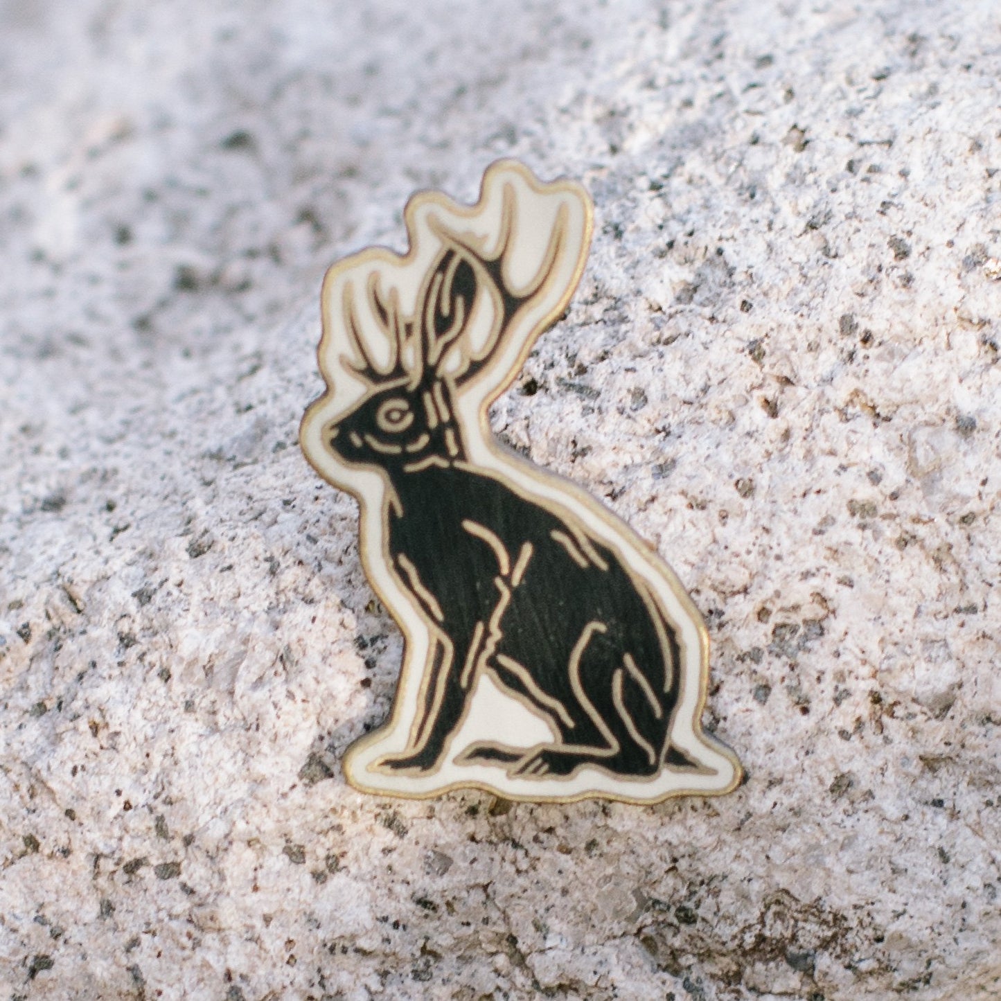 Load image into Gallery viewer, West Texas Enamel Pins
