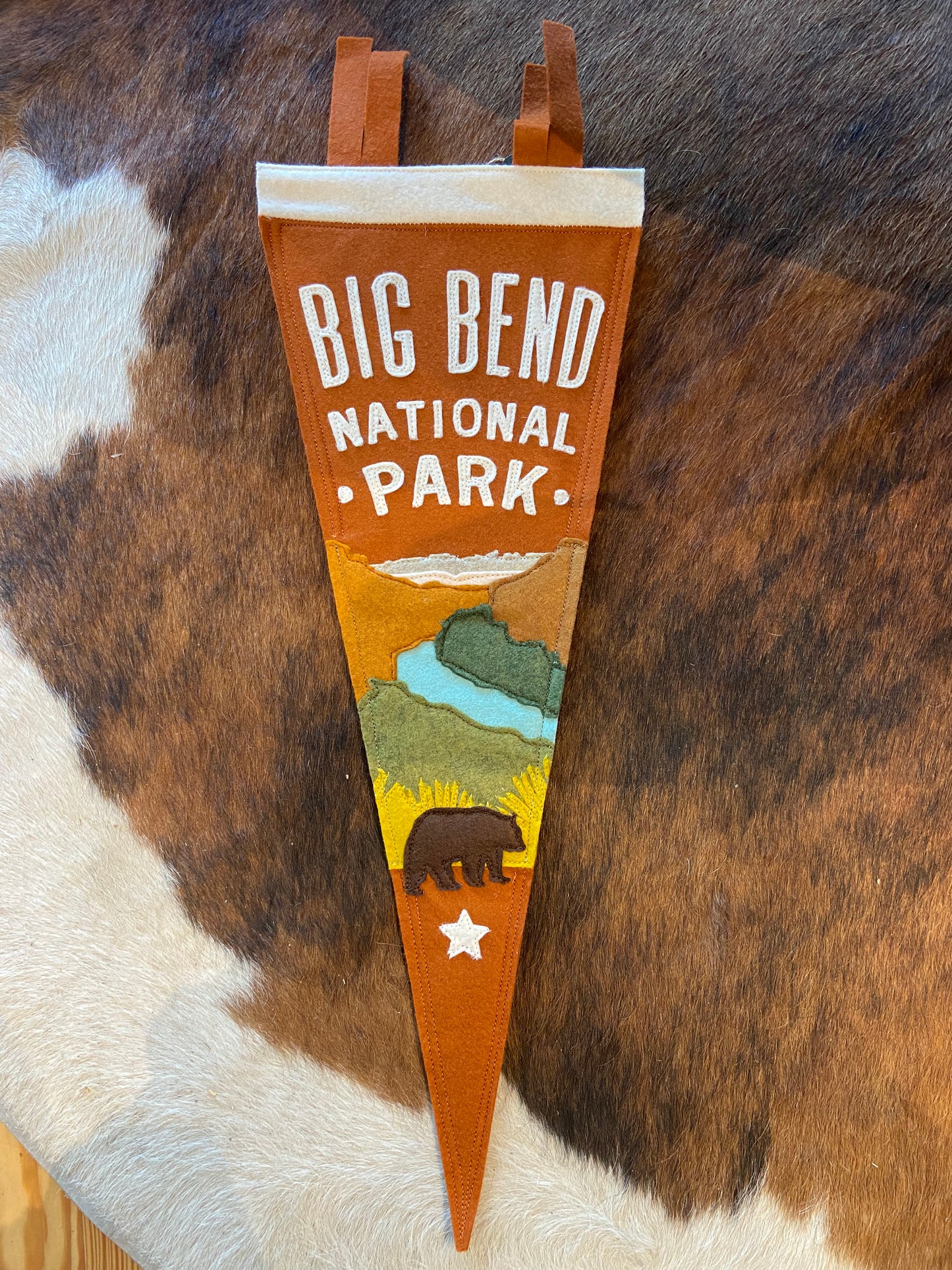 Big Bend National Park Pennant